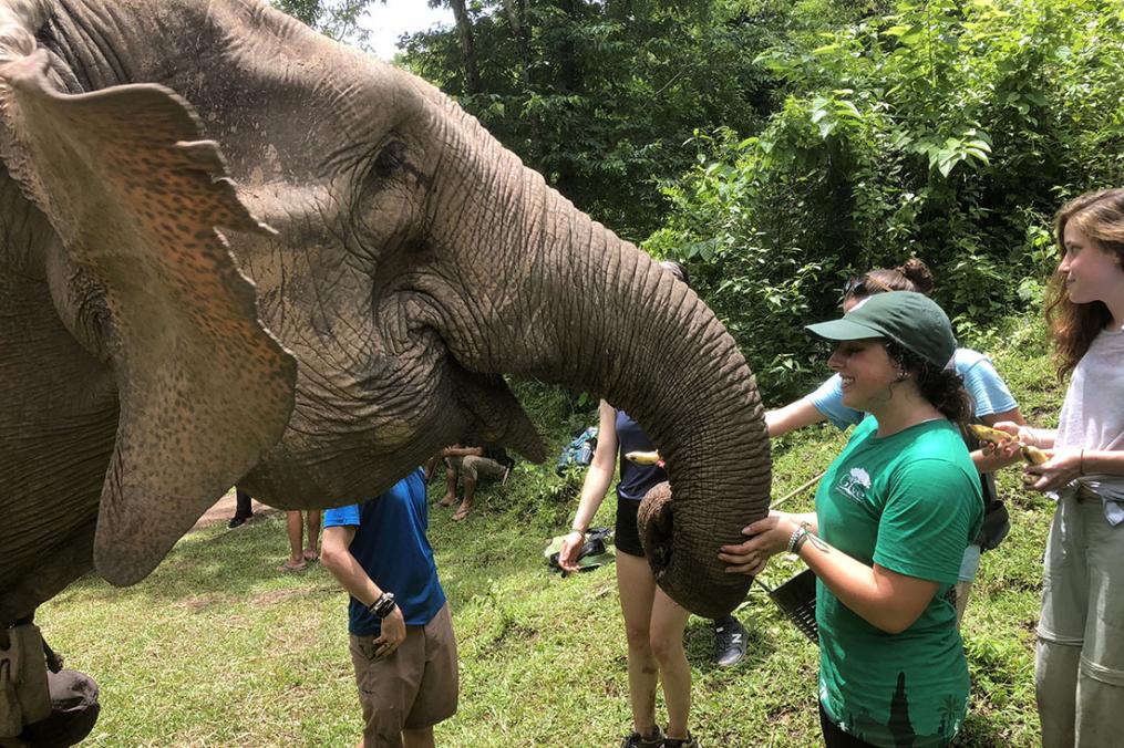 Sarah Honan '21 completed a summer Field Period® in Thailand. Her favorite part of the trip was hiking for elephants and getting to interact with them.