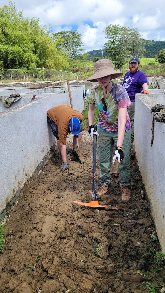 Students in lily pad tanks digging and moving rocks out 